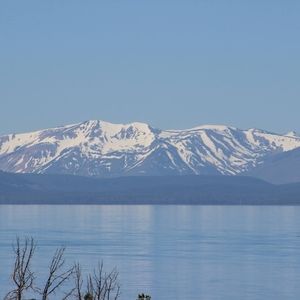 Meet your Posher, Jen